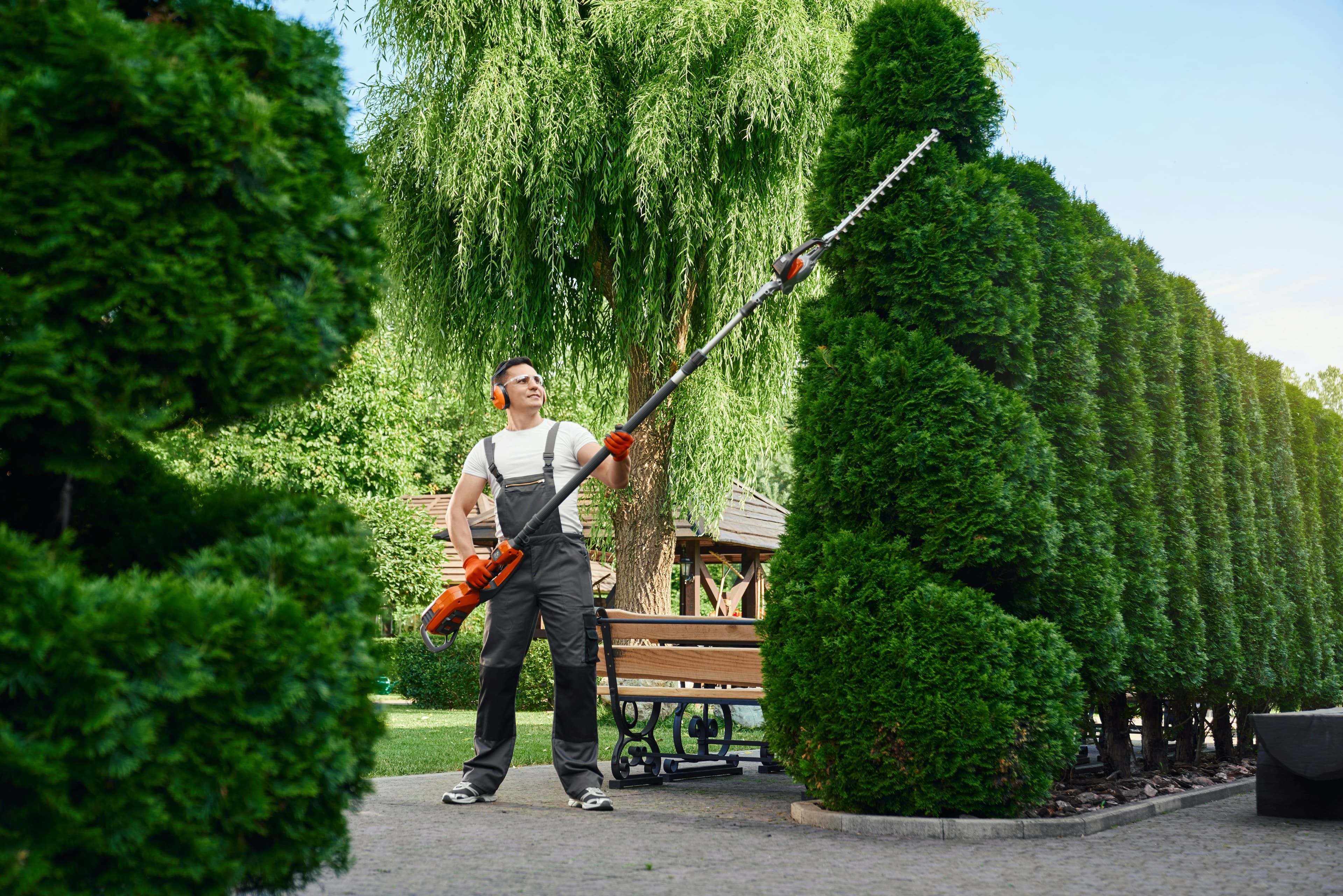 Lawn Care